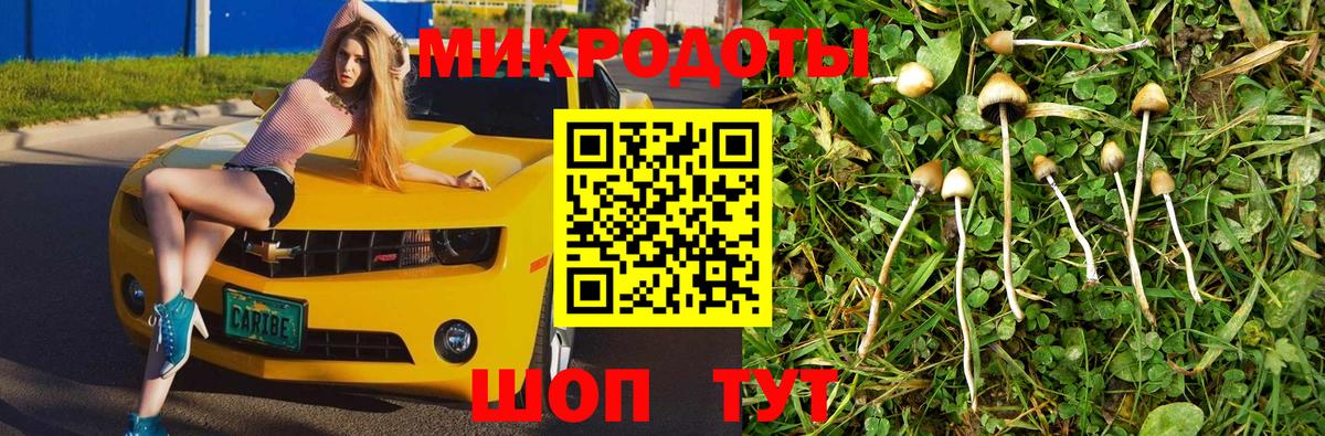 Псилоцибиновые грибы Cubensis  Псилоцибиновые грибы GOLDEN TEACHER  Муравленко  Вход с VPN 